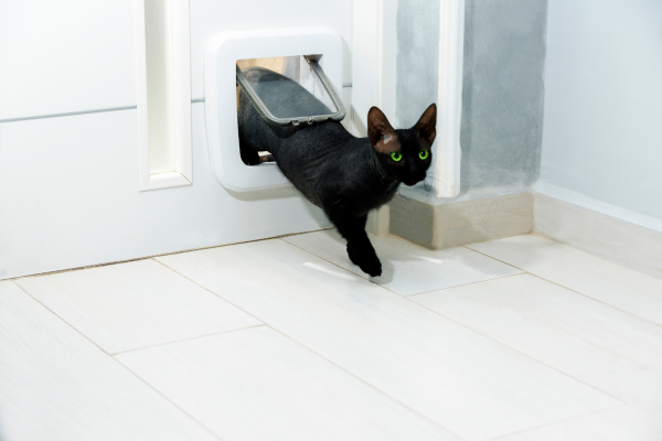 Porta d'ingresso con il passaggio per il cane o gatto